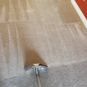 Photo of AL Cleaning Services