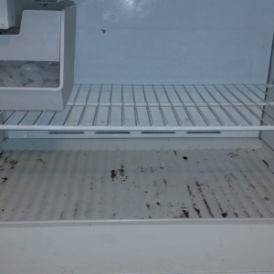Washington Round About Cleaning Service