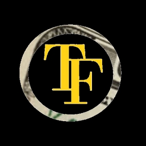 Photo of Temple Financials