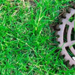 Photo of Landscape Design Irrigation