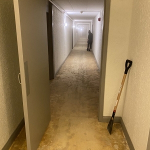 Photo of American Carpet Distributors