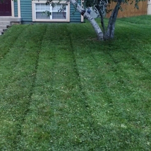 Photo of 2 Things Lawn Care