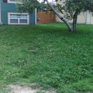 Photo of 2 Things Lawn Care