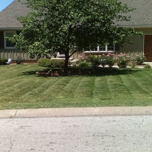 Photo of 2 Things Lawn Care