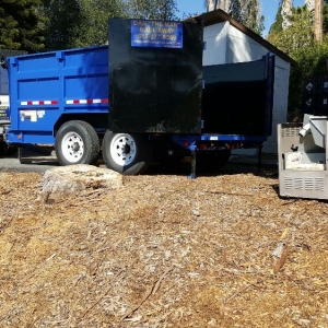 Photo of Dan The Man Haul Away and Dumpster Rentals