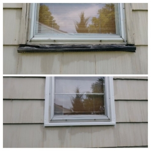 Photo of Wood Rot Solutions