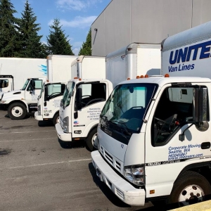 Kent CMS Relocation & Logistics