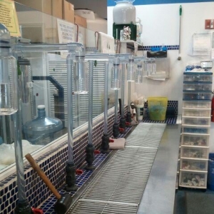 Photo of Purified Water To Go