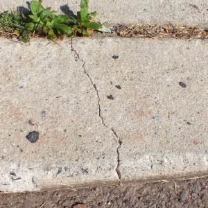 Photo of Harris Paving Industries