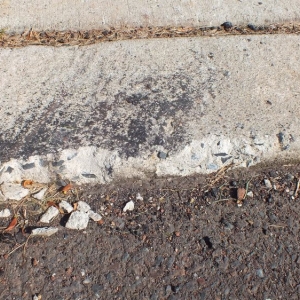 Photo of Harris Paving Industries