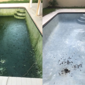 Photo of Total Cleaning Pool Maintenance and Repair