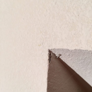 Photo of Attwood Drywall Patch & Repair LLC