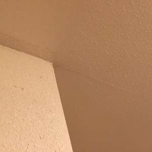 Photo of Attwood Drywall Patch & Repair LLC