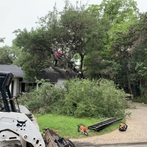 Photo of EB Skid Steer And Miniexcabator Services