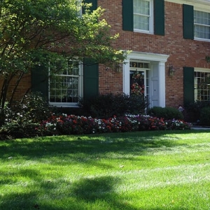 Photo of Classic Design Lawn and Landscaping