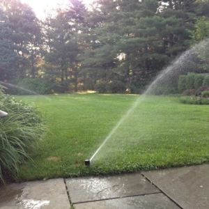 Photo of Classic Design Lawn and Landscaping