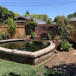 Photo of Bay Area Koi Ponds
