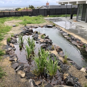 Photo of Bay Area Koi Ponds