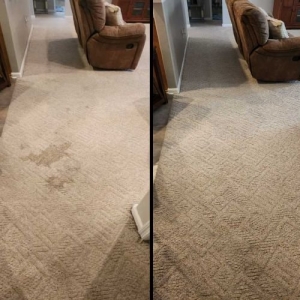 Photo of SVS Cleaning Services