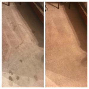 Photo of Mac's Carpet Care