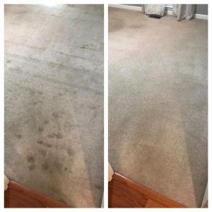 Photo of Mac's Carpet Care