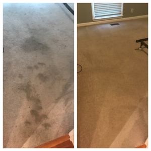 Photo of Mac's Carpet Care