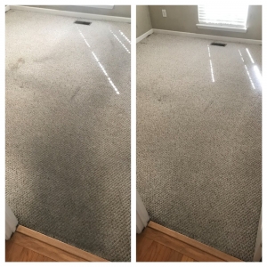 Photo of Mac's Carpet Care