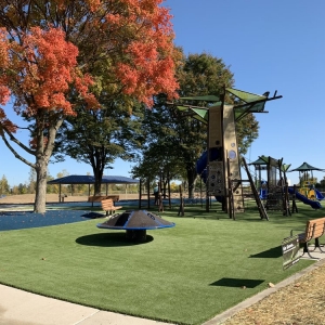 Photo of SYNLawn Indiana