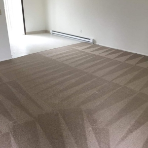 Photo of Bubble Cleaning Services