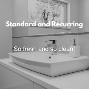 Photo of Scream Clean Maid Services