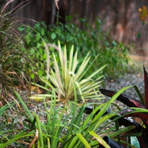 Photo of Prende Landscaping