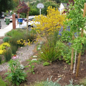 Photo of Garden Gnome Design
