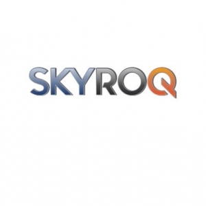 Ellicott City SKYROQ Consulting