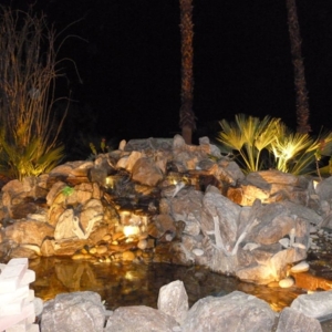 Photo of San Diego Scape and Maintenance