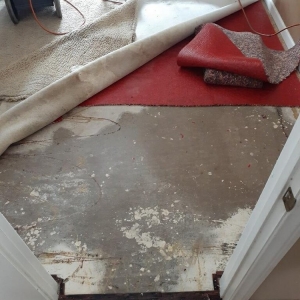 Photo of 1-800 WATER DAMAGE of Thousand Oaks / Woodland Hills