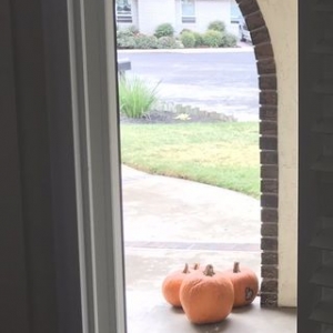 Photo of Cooper Window & Door