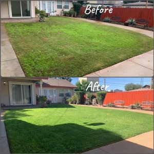 Photo of Gorilla Lawn & Landscape Care