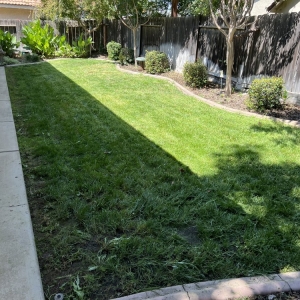 Photo of Gorilla Lawn & Landscape Care