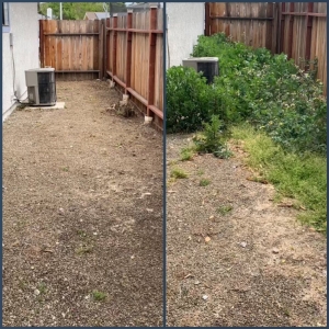 Photo of Gorilla Lawn & Landscape Care