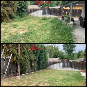 Photo of Gorilla Lawn & Landscape Care