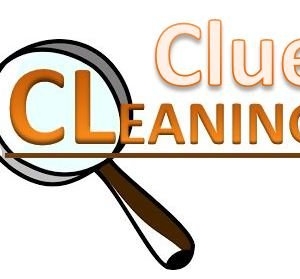 Photo of Clue Cleaning