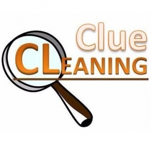 Photo of Clue Cleaning