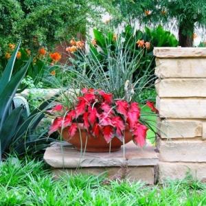 Photo of Blue Heron Designs