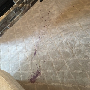 Photo of A+ Carpet Cleaning