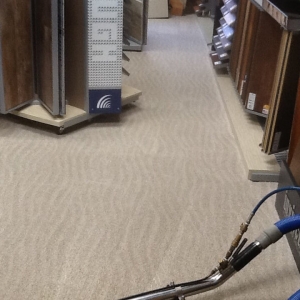 Photo of A+ Carpet Cleaning