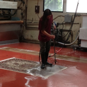 Photo of Deluxe Dye Works & Area Rug Cleaners