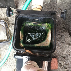 Photo of BestBank Pools Cleaning and Maintenance
