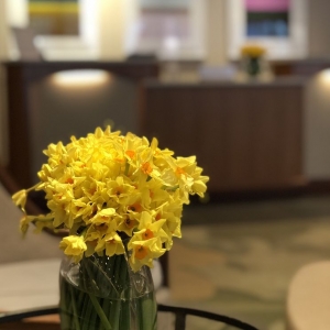 Photo of Seaport Boston Hotel