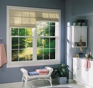Photo of Tru Fit Windows