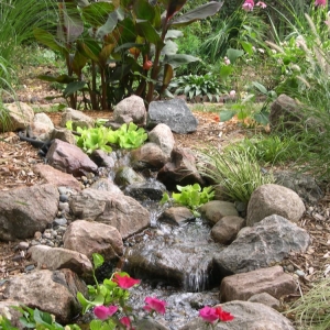Photo of Just Add Water
